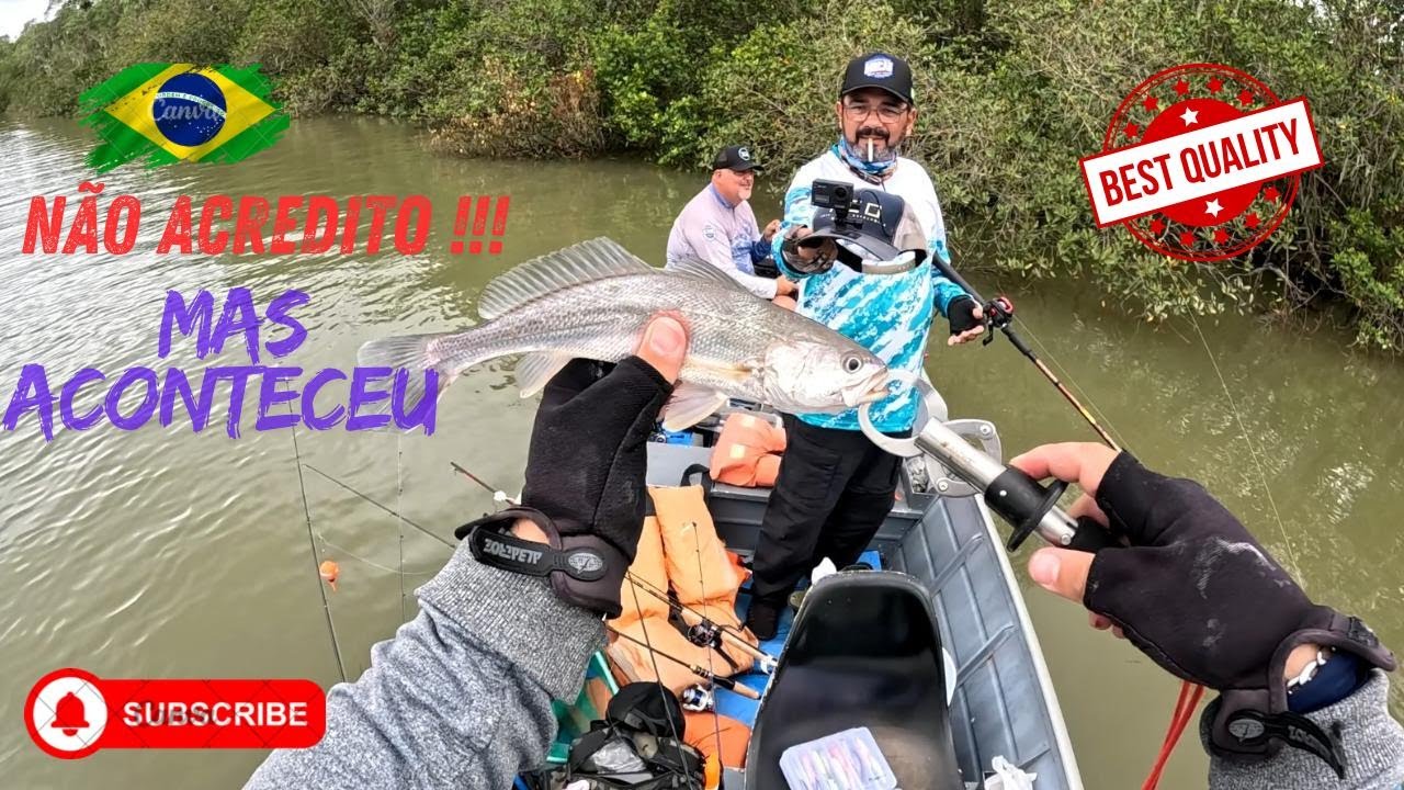 PESCARIA DE ROBALO COM ISCA ARTIFICIAL #fishing #pescaria #pesca