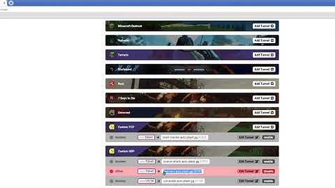 how to portforward rblxhub with playit.gg
