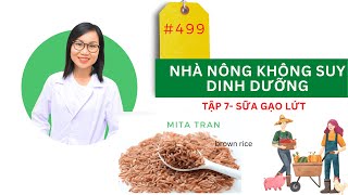 #499. NHÀ NÔNG KHÔNG SUY DINH DƯỠNG - Sữa GẠO LỨT (Brown Rice)