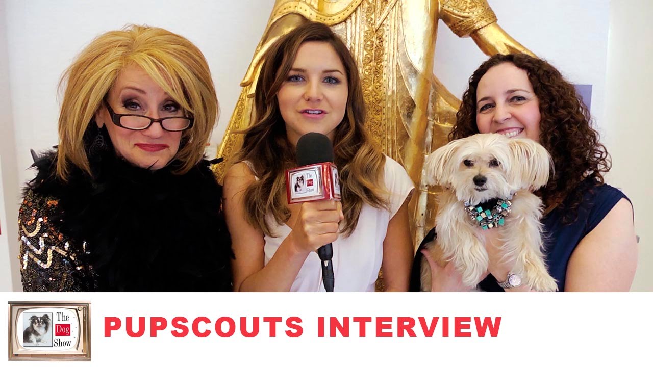 PupScouts Interview The Dog Show NYC Feb 2016 YouTube