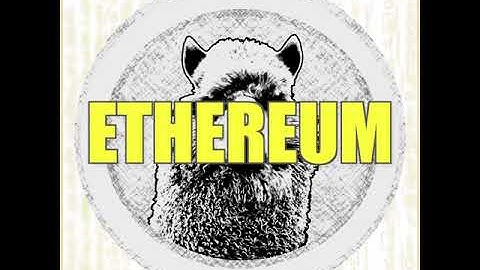 Ethereum by The Pissed Alpacas (Official Lyric Video)