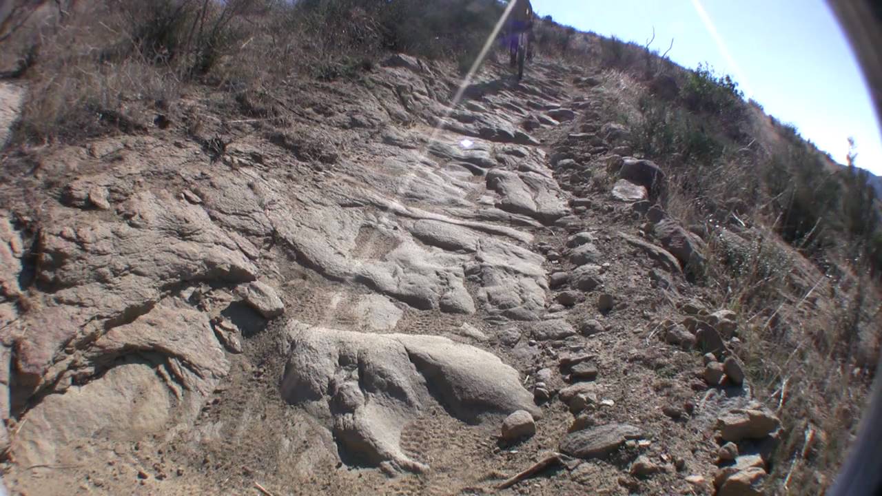 Extreme Unicycling "It's all downhill from here!" YouTube