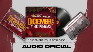 Los Meros Meros Gigantes Cadetes de Linares -  Diciembre Y Sus Posadas (Audio)