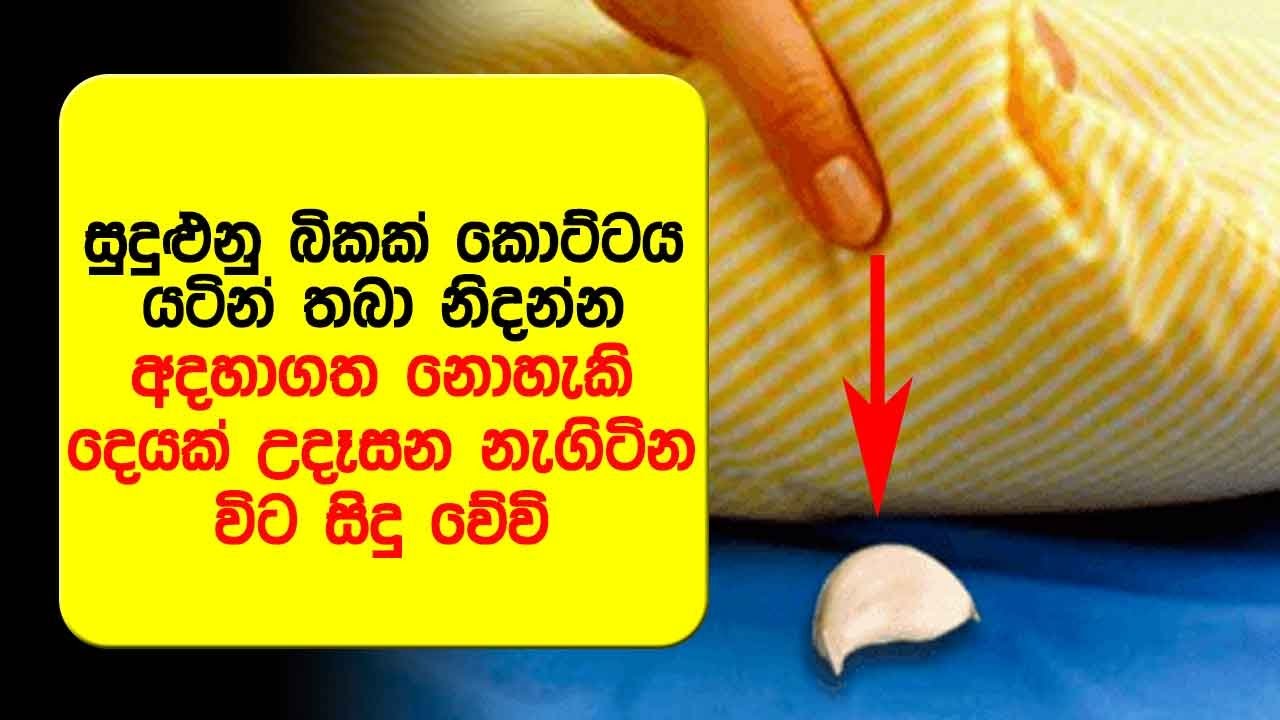 සුදුළුනු බිකක් කොට්ටය යටින් තබා නිදන්න Putting A Garlic Clove Under