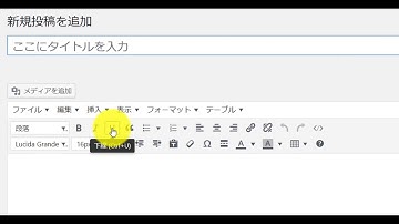 WordPressの使い方 ｜ 記事の書き方と投稿手順