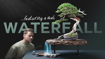 My First Bonsai Exhibition