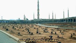 #hawler #ئیسلام_و_ژیان #madinah