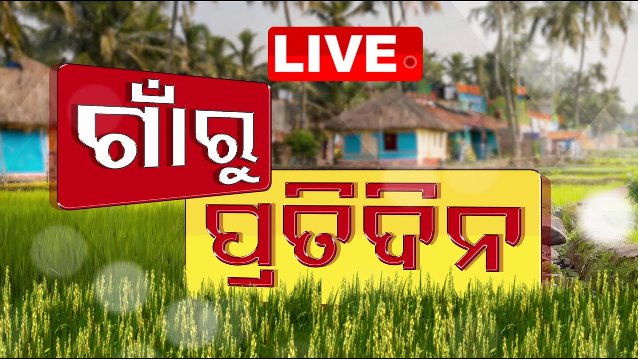 ???? ଗାଁରୁ ପ୍ରତିଦିନ Live | Gaon Ru Pratidin | Odia News | 18th September 2024