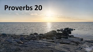 Proverbs 20 - Daily Wisdom and Prayers