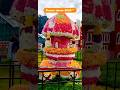 💗✨😻Ooty Flowers🌹show place view📸Ooty Tourism Vlogs WhatsApp status video✨👻💗#ooty #ootyflowershow