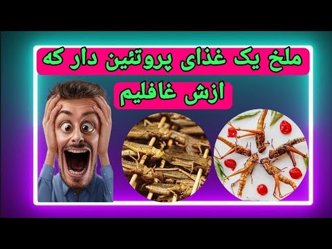 تصویری: حشره ملخ: چه می خورد؟ او کجا زندگی می کند؟