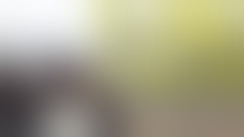 Reverse - FailArmy - Close Calls