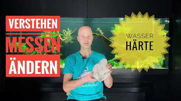 Was tun bei schlechten Werten im Aquarium?