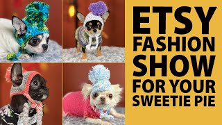 CHIHUAHUA FASHION SHOW | Sweetie Pie Pets by Kelly Swift by Sweetie Pie Pets 679 views 3 months ago 3 minutes, 50 seconds