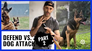 Tips To Defend Against Dog Attack