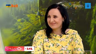 ⚡ Що чекає на українців: усе про пенсії та соціальні виплати!