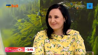 ⚡ Что ждет украинцев: все о пенсиях и социальных выплатах!