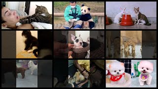 What's Trending in Pets & Animals on Tuesday, March 7th, 2023