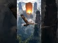 Eagle 🦅 Flying ✈ The Mountains ⛰