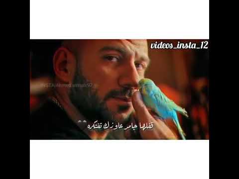احمد مكي لو حسيتها قفلت وهموك كترت عليك 