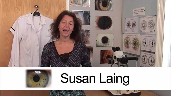 Susan Laing Informational Video - Created by Chris...