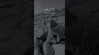 Rahen Aleik - lirik dan terjemah (ana mus au wil wadha) #liriklagu #statuswhatsapp #shorts