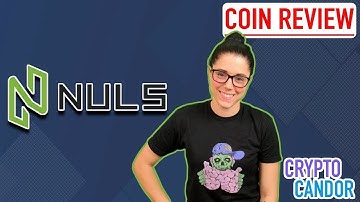 Nuls | $NULS | The Plug & Play Blockchain