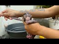 NewBorn Baby Monkey Girl Bath Cute 🥰