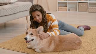 Corgis: Perfect Therapy Dogs for Elderly Care