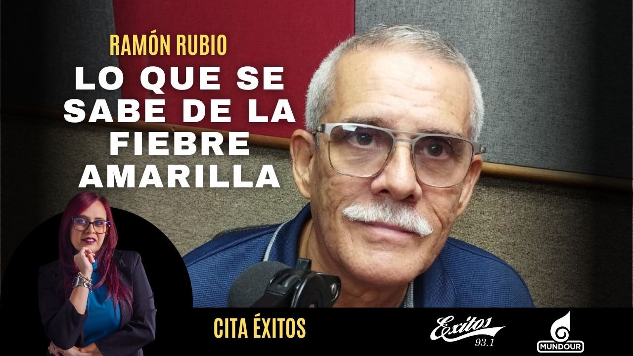MARACAY -  ¿Por qué debes vacunarte contra la fiebre amarilla?  | CITA ÉXITOS