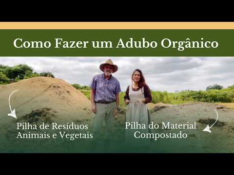 Dicas Práticas Para