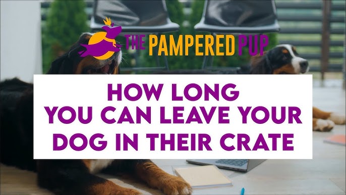 Voluntary Crate Training for Dogs, Part 1 — Lavengel