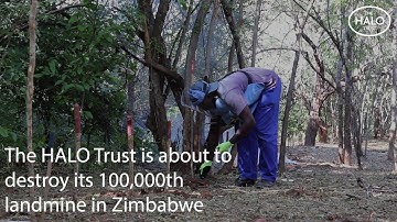 100,000 landmines gone forever in Zimbabwe | The HALO Trust