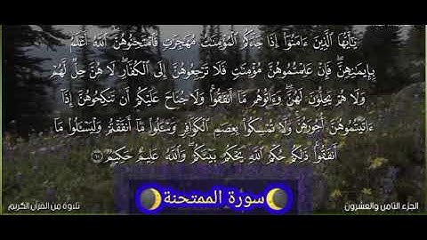 سورة الممتحنة|كاملة|تلاوة هادئة بصوت جميل جداً تريح الاعصاب 😭Sourate Al Mumtahinah | Complète |