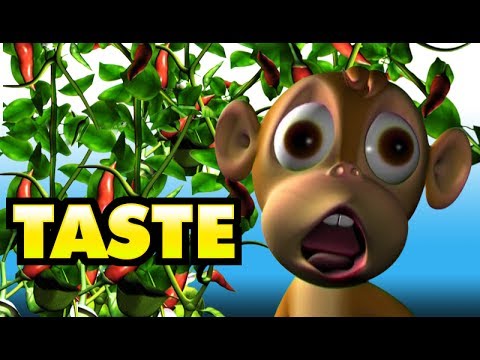 Pupi Nursery Rhyme | Tastes Song | Malayalam cartoon songs for children -  YouTube