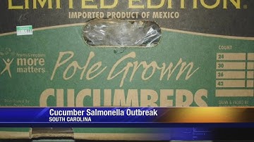 Cucumbers Recalled After Salmonella Kills 1, Sickens Hundreds