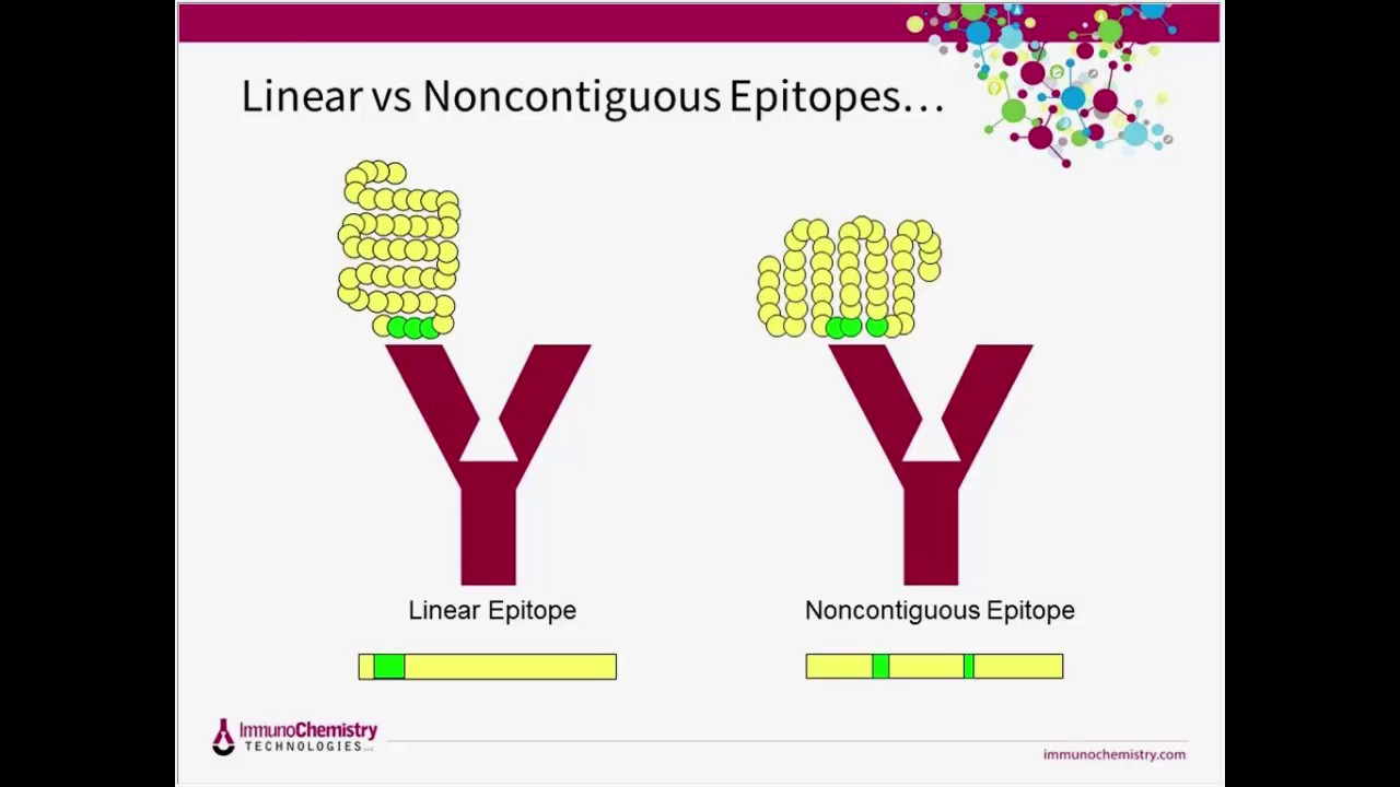 Resolution of Several Common Immunoassay Performance Issues