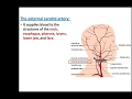 Arteries of the Head and Neck - Dr. Ahmed Farid