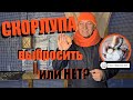 ПОЛЬЗА СКОРЛУПЫ + ОПЫТ ФАРАОНОВА ЗМЕЯ