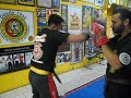 Academia garra de tigre  kickboxing japons seishingodokan  pelotasrs