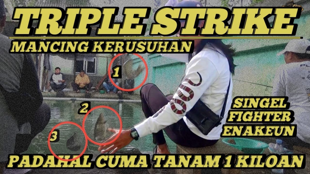 MANCING TERLAMBAT MALAH JADI YANG TERBANYAK !! IKAN MAKAN DOUBLE DAN TRIPLE STRIKE FULL NGETRIK