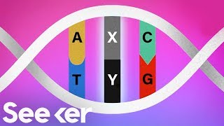 A New Genetic Alphabet Is Creating Things Nature Has Never Seen