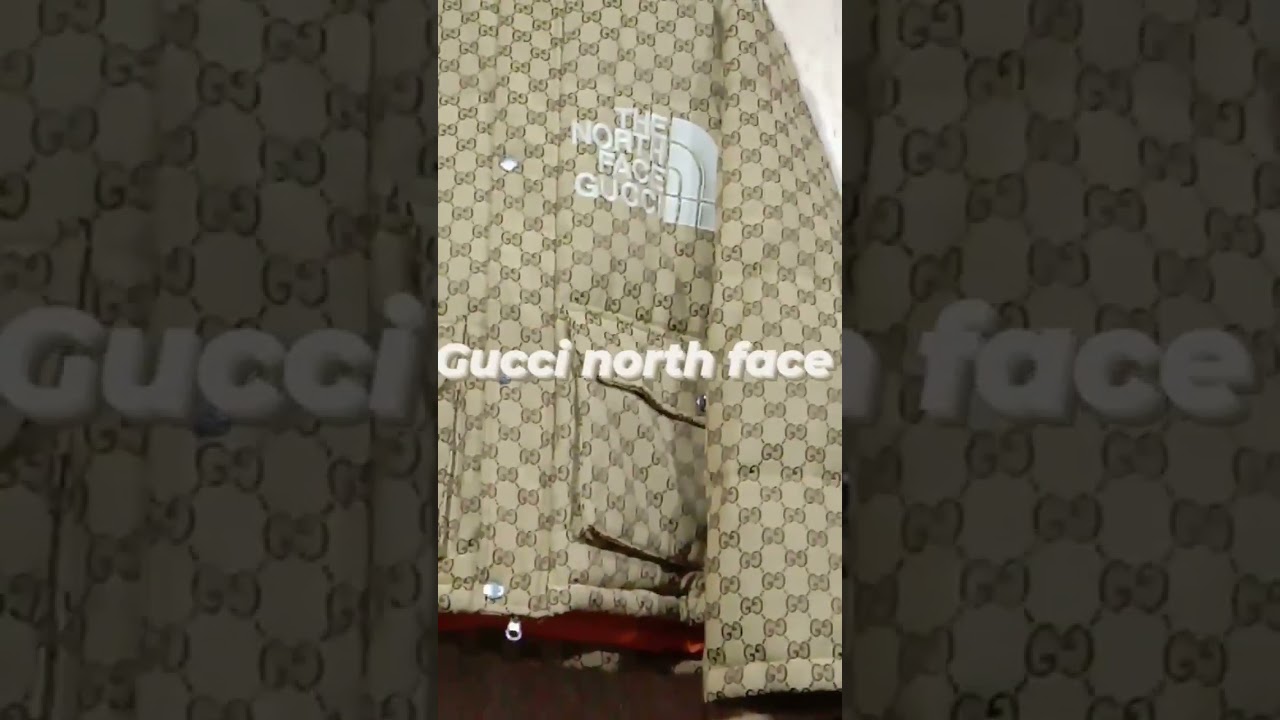 Gucci x the north face puffers jackets
