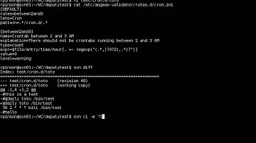 Augeas-validator in SVN hook