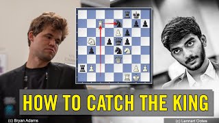 How to catch The King | Gukesh vs Magnus Carlsen | Aimchess Rapid 2022