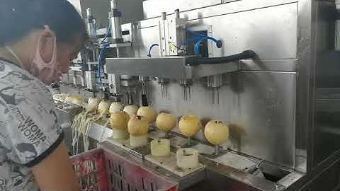 big capacity apple peeling machine/persimmon peeling machine/pear peeling machine