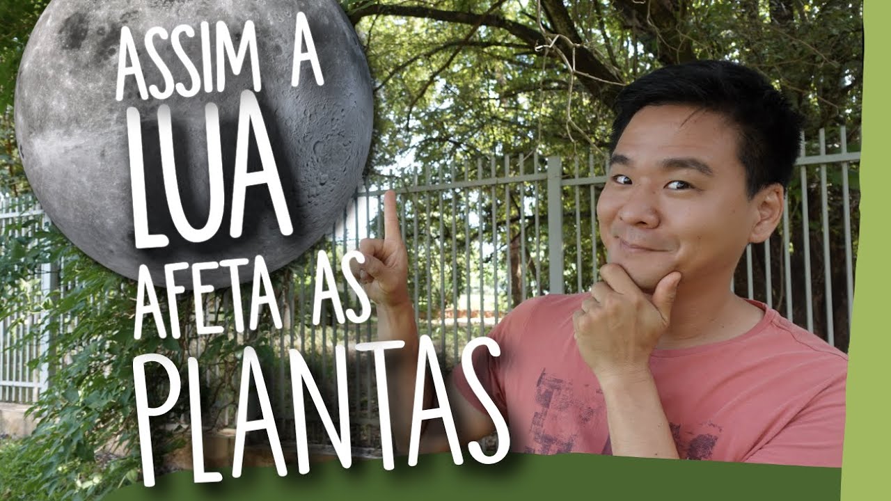 Como a LUA influencia AS PLANTAS?
