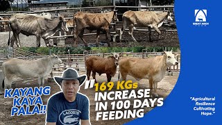 YOU NEED TO SEE THIS: FINAL REPORT 100 DAY FEEDING TRIAL