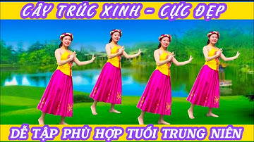 DÂN VŨ 💥CÂY TRÚC XINH // BIÊN ĐẠO VÀ THỰC HIỆN: KHÁNH LINH