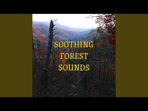 Watch Rain on River, Pink Noise (Loopable) on YouTube